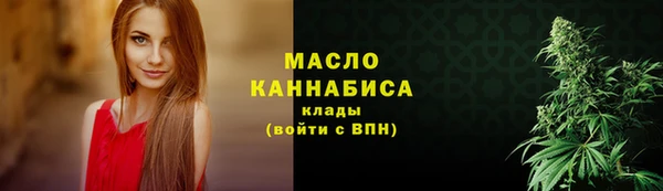 гашик Аркадак